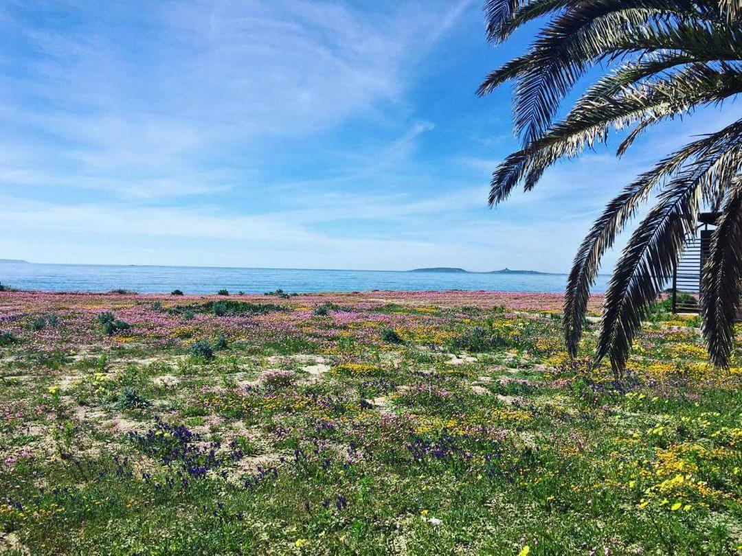 Affittacamere Al Mare Oristano Zewnętrze zdjęcie